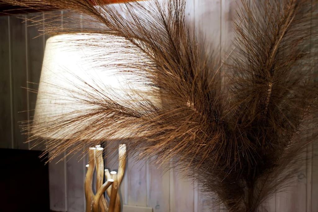 La Maison De Carmen アオスタ エクステリア 写真